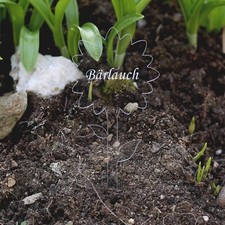 Acrylglas Pflanzschilder Blume