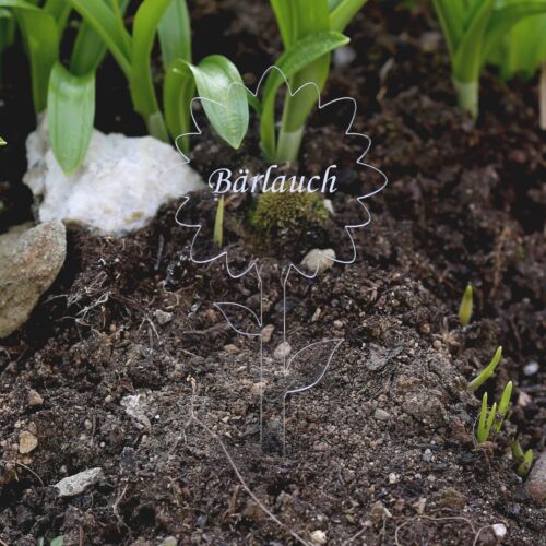 Acrylglas pflanzschilder blume - pflanzschilder,
