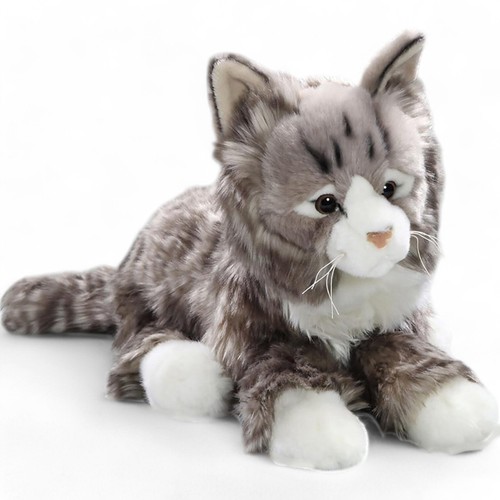 Carl dick katze getigert grau - carl,