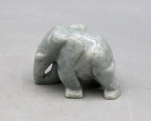 Wunderschöner elefant aus - elefant,