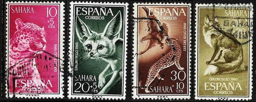 Span sahara 1960 raubtiere - 1960:,
