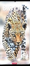 BIG CATS  Kalender 2024 Große Raubkatzen XL 33x68 cm von Weingarten