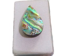 Paua Muschel Abalone Cabochon