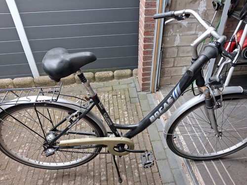 Fahrrad pegasus damenfahrrad - pegasus-,
