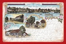 Alte AK Litho Güstebieser Loose Neulewin Oderbruch gel. 1900  Gü#1