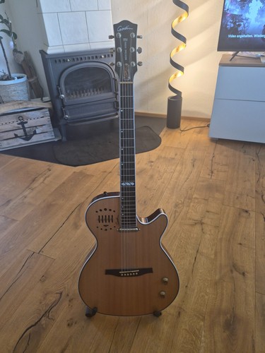 Neuwertig godin multiac steel - neuwertig_godin,
