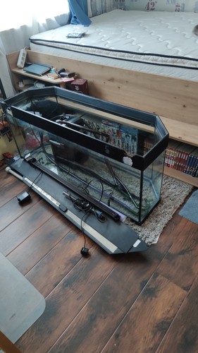 Aquarium komplett gebraucht - aquarium,