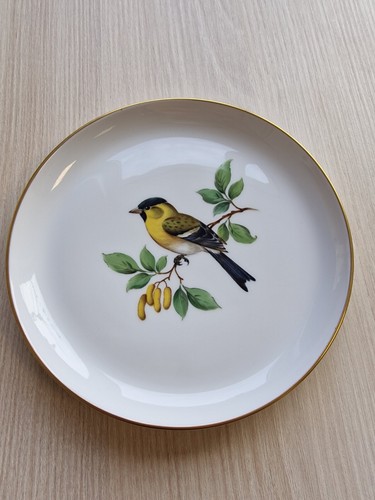 Wandteller vogel meissen - wandteller,