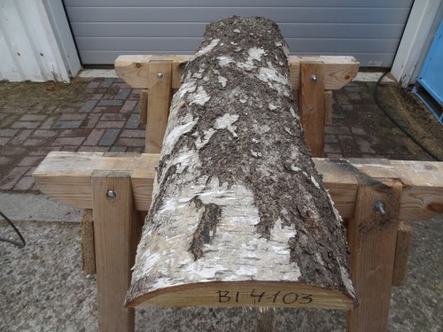 Birke,massiv,Bohle,Tischplatte