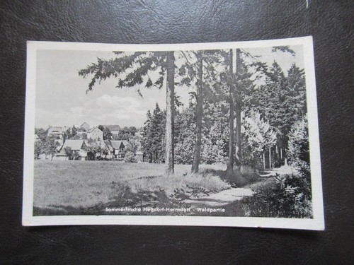 Hetzdorf waldpartie 1954 - hetzdorf,waldpartie,um,