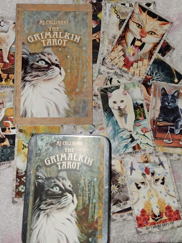 The grimalkin tarot - the, 💛