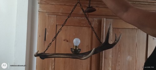 Geweihlampe