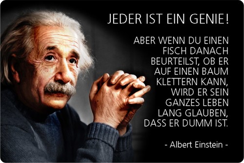 Schild spruch jeder genie - spruch, "jeder