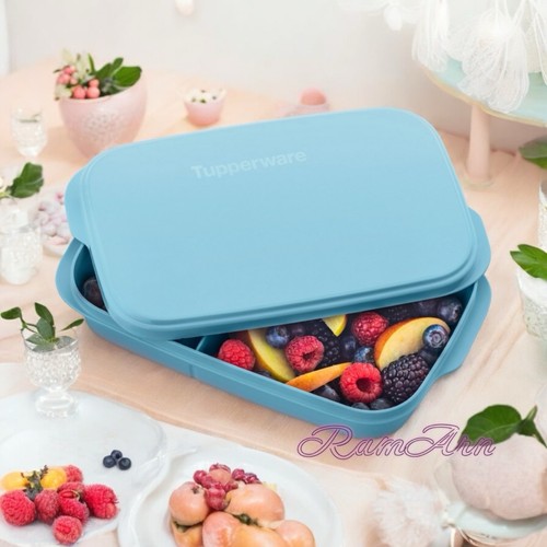 Tupperware eco snackbox - tupperware, eco+