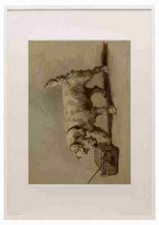 Earl Maud 1864 1943 The Power Dog 1910 Sealyham Terrier A3 A4 gerahmter Druck Bild