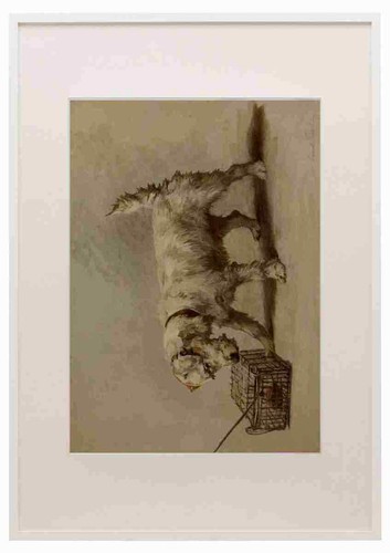 Earl maud 1864 - 1943, power