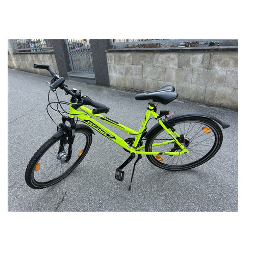 Pegasus avanti mountainbike - pegasus,