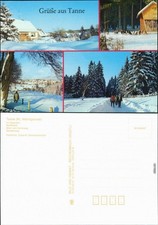 Tanne (Harz) Oberdorf, Muffelwild, Harteweg, Wanderweg - im Winter 1987