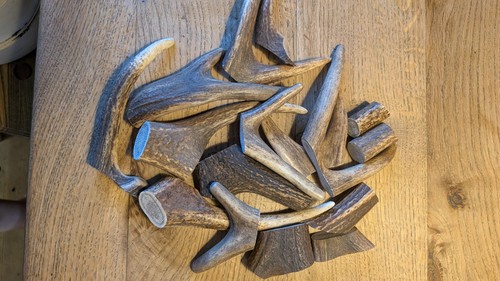 Abwurfstangen abschnitte - abwurfstangen,