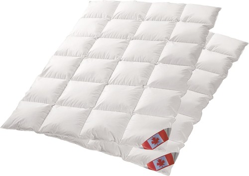 Angebot canada kassetten - angebot,