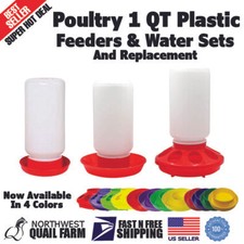 Poultry Chicken Chick 1 QT