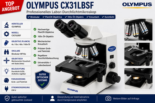 Olympus cx31 lbsf binokulares - olympus, lbsf-binokulares