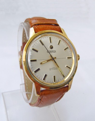 Roamer anfibio - anfibio,