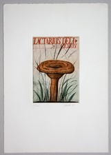 Alois Janak: Farb-Radierung handsigniert num. 31/100 Ex. von 1979