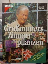 Großmutters Zimmerpflanzen