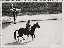 Foto aus Nachlass Obw. Sperzel 3./K.R.3, Göttingen, Kommandeur 1937 (N)50250 