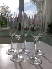 Ritzenhoff , Sekt Glässer,23cm Hoch