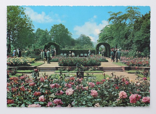 Postkarte rosengarten im - postkarte,