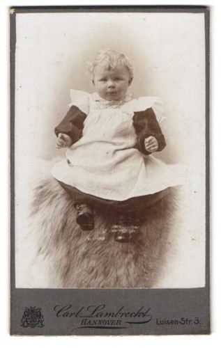Fotografie carl lambrecht - fotografie,