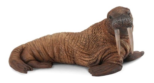 Collecta 88569 walross - 88569, cm