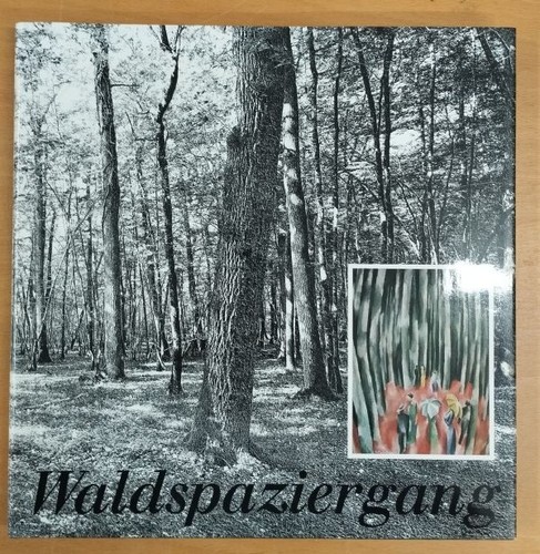 Waldspaziergang - ,