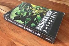 NEU&OVP⭐ DC Batman & Robin