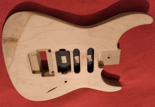 Professional strat korpus - professional,