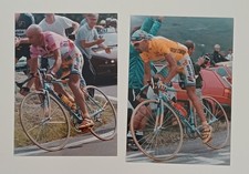 2 x Fotos,Marco Pantani 1998,vom Marco Pantani Club,selten,