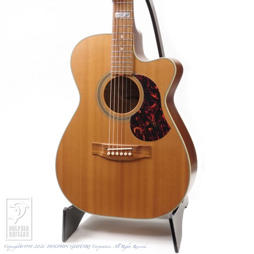 Maton ebg808cte - ebg808cte, (nr260517)