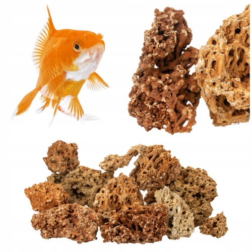 Aquarium korallenkalk mix - korallenkalk,