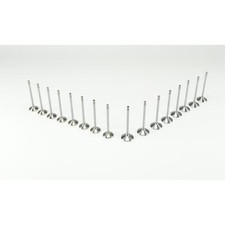 16 Ventile ( 8x Einlaßventil + 8x Auslaßventil ) für Opel  X18XE1 / Z18XE
