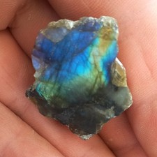 Klein aber Fein Poliert