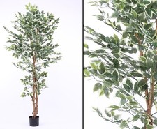 Kunstbaum Ficus Benjamini