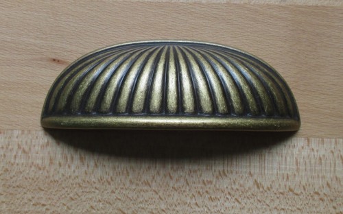 Muschelgriff magnolie aus - magnolie,