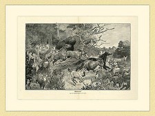 Waldbrand Nach einer Originalzeichnung Th. Rocholl Holzstich Gartenlaube XL G11