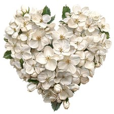 9x stickers flowers heart car