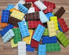 Lego Duplo Flache Bausteine 2x4 Platten 50er SPARSET 