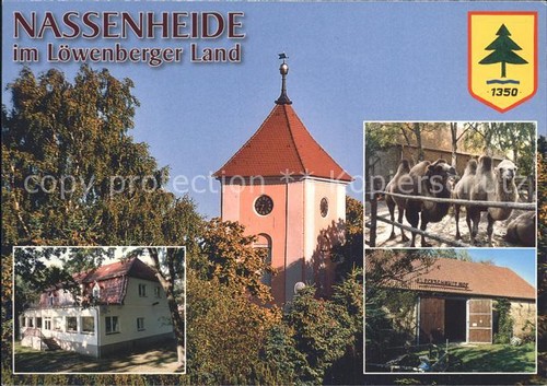 Nassenheide dorfkirche kamele - dorfkirche,