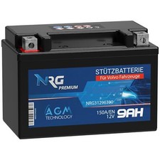 NRG BackUp Batterie 31296300
