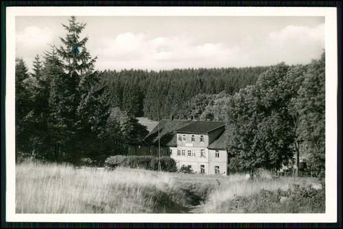 Echt foto buntenbock - foto, ak